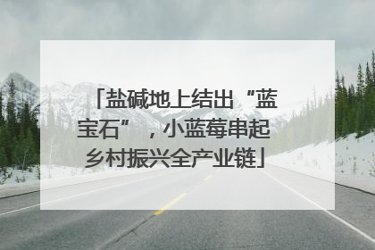 盐碱地上结出“蓝宝石”，小蓝莓串起乡村振兴全产业链