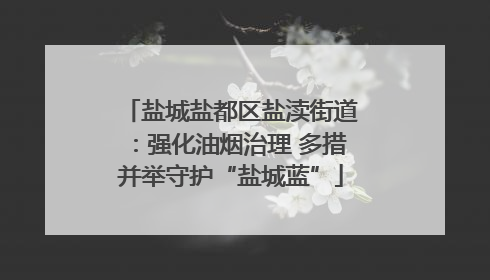 盐城盐都区盐渎街道：强化油烟治理 多措并举守护“盐城蓝”
