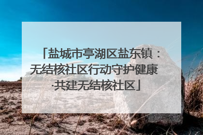 盐城市亭湖区盐东镇：无结核社区行动守护健康 ·共建无结核社区