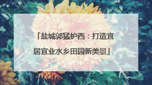 盐城郭猛护西：打造宜居宜业水乡田园新美景