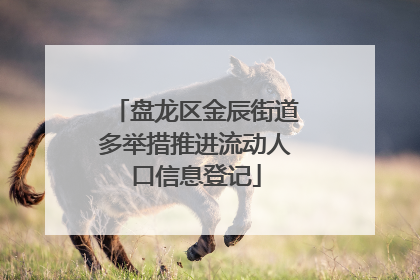 盘龙区金辰街道多举措推进流动人口信息登记