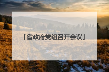 省政府党组召开会议