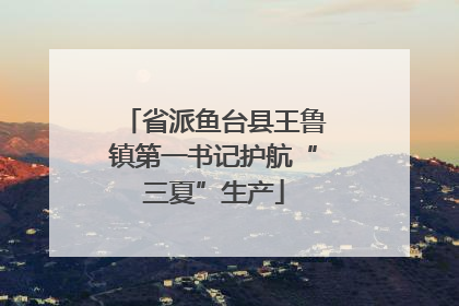 省派鱼台县王鲁镇第一书记护航“三夏”生产