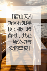 眉山天府新区行知学校：枇杷橙黄时，共赴一场劳动与爱的盛宴