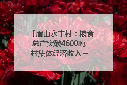 眉山永丰村：粮食总产突破4600吨 村集体经济收入三年倍增｜牵挂的村
