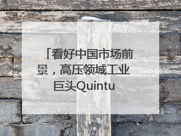 看好中国市场前景，高压领域工业巨头Quintus科技深化本土策略，构建全方位服务亚太区总部