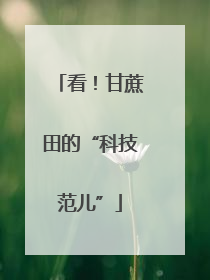 看！甘蔗田的“科技范儿”