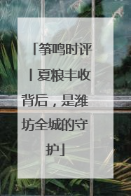 筝鸣时评丨夏粮丰收背后，是潍坊全城的守护