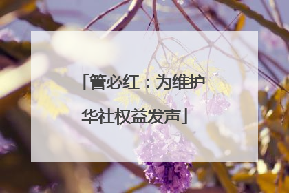 管必红：为维护华社权益发声