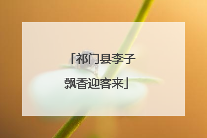 祁门县李子飘香迎客来
