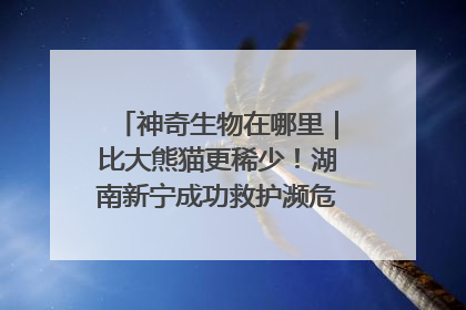 神奇生物在哪里｜比大熊猫更稀少！湖南新宁成功救护濒危鸟类海南鳽
