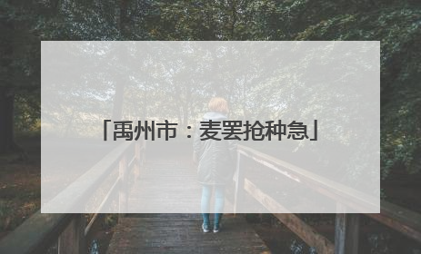 禹州市：麦罢抢种急