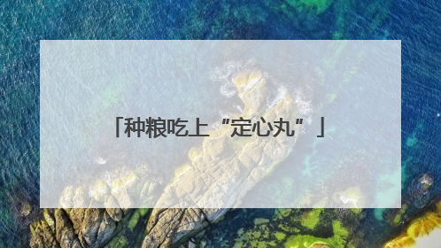 种粮吃上“定心丸”