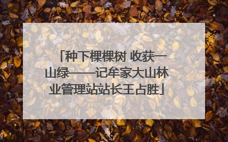 种下棵棵树 收获一山绿——记牟家大山林业管理站站长王占胜