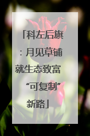 科左后旗：月见草铺就生态致富“可复制”新路