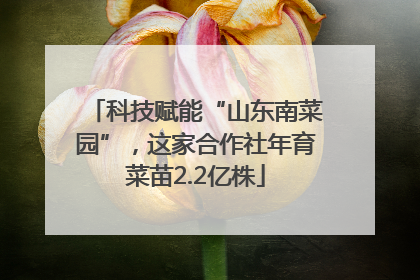 科技赋能“山东南菜园”，这家合作社年育菜苗2.2亿株