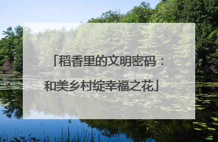 稻香里的文明密码：和美乡村绽幸福之花