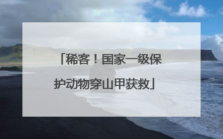 稀客！国家一级保护动物穿山甲获救