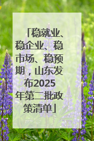 稳就业、稳企业、稳市场、稳预期，山东发布2025年第二批政策清单