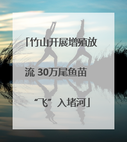 竹山开展增殖放流 30万尾鱼苗“飞”入堵河