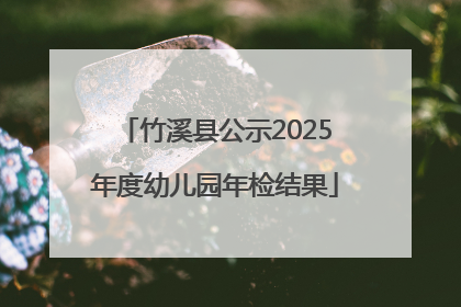 竹溪县公示2025年度幼儿园年检结果