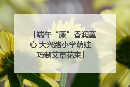 端午“廉”香润童心 大兴路小学萌娃巧制艾草花束