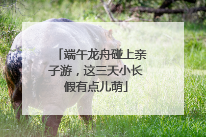 端午龙舟碰上亲子游，这三天小长假有点儿萌