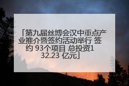 第九届丝博会汉中重点产业推介暨签约活动举行 签约 93个项目 总投资132.23 亿元