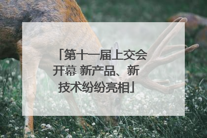 第十一届上交会开幕 新产品、新技术纷纷亮相