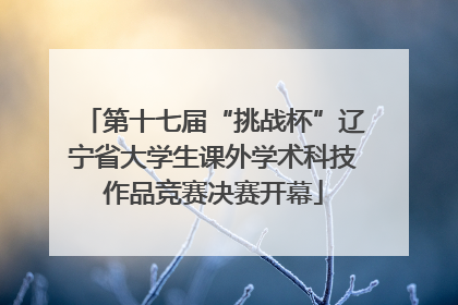 第十七届“挑战杯”辽宁省大学生课外学术科技作品竞赛决赛开幕