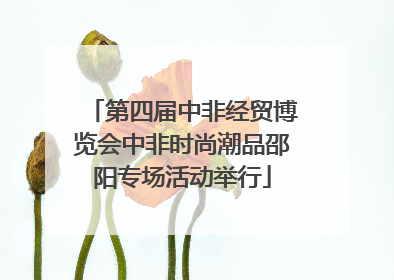 第四届中非经贸博览会中非时尚潮品邵阳专场活动举行