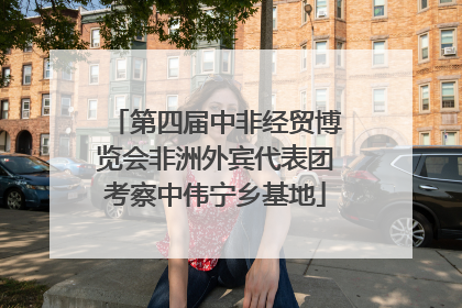 第四届中非经贸博览会非洲外宾代表团考察中伟宁乡基地
