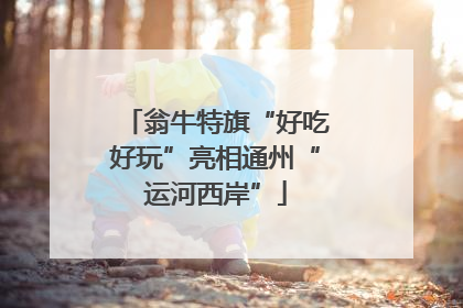 翁牛特旗“好吃好玩”亮相通州“运河西岸”