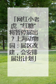 网红小老虎“红糖”将暂停展出？上海动物园：展区改建，会安排展出计划