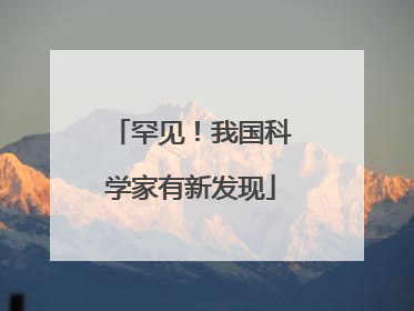 罕见！我国科学家有新发现