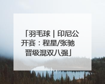 羽毛球｜印尼公开赛：程星/张驰晋级混双八强