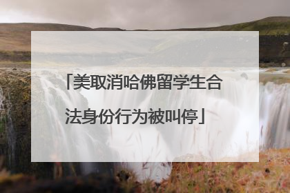 美取消哈佛留学生合法身份行为被叫停