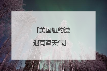 美国纽约遭遇高温天气