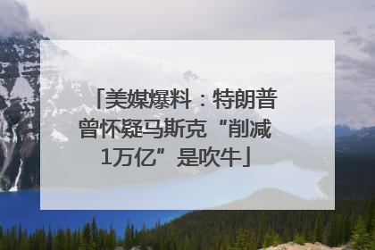 美媒爆料：特朗普曾怀疑马斯克“削减1万亿”是吹牛