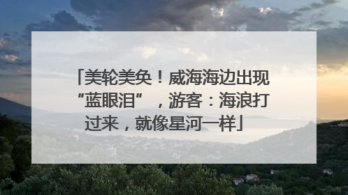 美轮美奂！威海海边出现“蓝眼泪”，游客：海浪打过来，就像星河一样