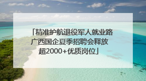 精准护航退役军人就业路 广西国企夏季招聘会释放超2000+优质岗位