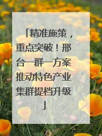 精准施策，重点突破！邢台一群一方案推动特色产业集群提档升级