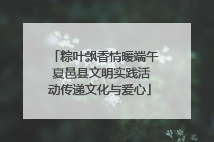 粽叶飘香情暖端午 夏邑县文明实践活动传递文化与爱心