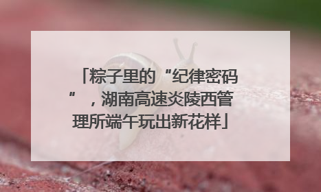 粽子里的“纪律密码”，湖南高速炎陵西管理所端午玩出新花样