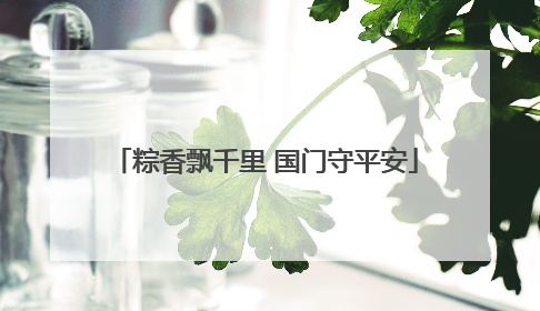 粽香飘千里 国门守平安