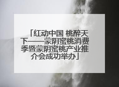 红动中国 桃醉天下——蒙阴蜜桃消费季暨蒙阴蜜桃产业推介会成功举办