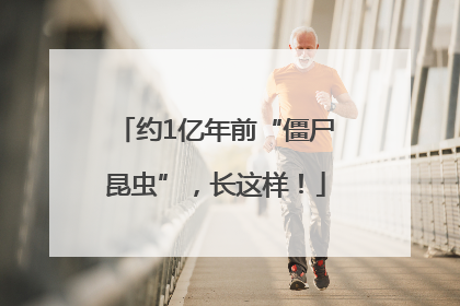 约1亿年前“僵尸昆虫”，长这样！