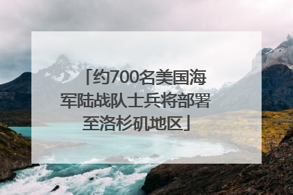 约700名美国海军陆战队士兵将部署至洛杉矶地区
