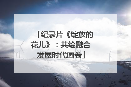 纪录片《绽放的花儿》：共绘融合发展时代画卷