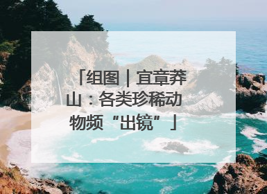 组图｜宜章莽山：各类珍稀动物频“出镜”